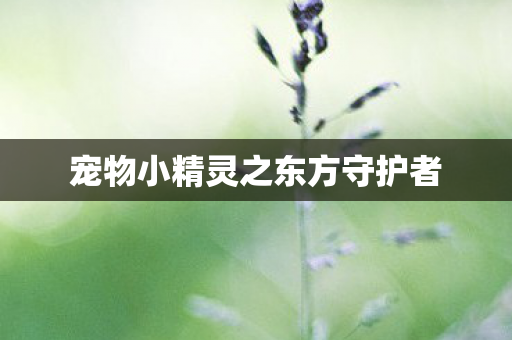 宠物小精灵之东方守护者