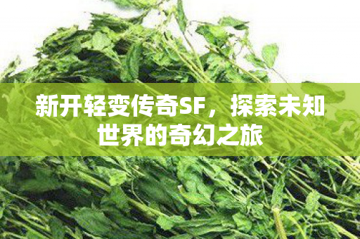 新开轻变传奇SF，探索未知世界的奇幻之旅