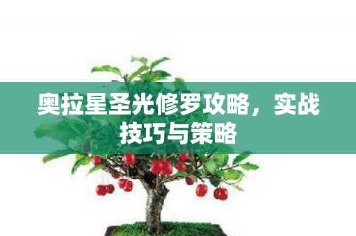 奥拉星圣光修罗攻略，实战技巧与策略