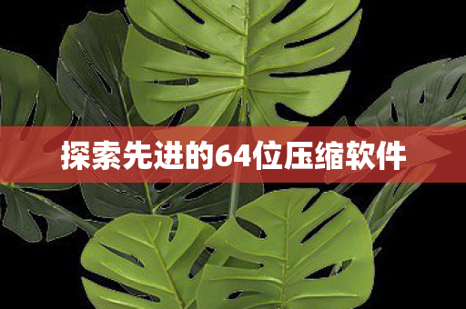 探索先进的64位压缩软件