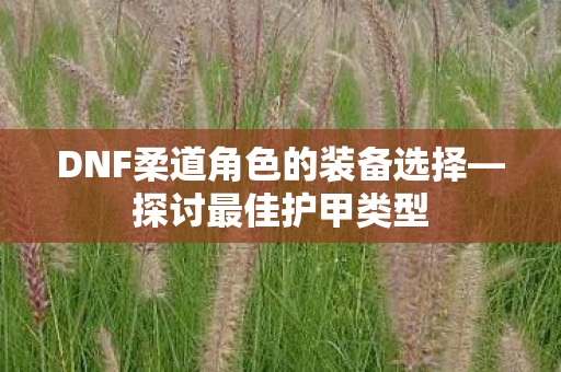 DNF柔道角色的装备选择—探讨最佳护甲类型