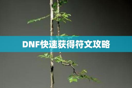 DNF快速获得符文攻略