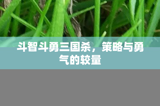 斗智斗勇三国杀，策略与勇气的较量