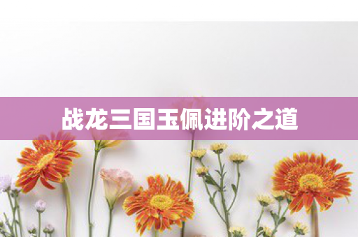 战龙三国玉佩进阶之道