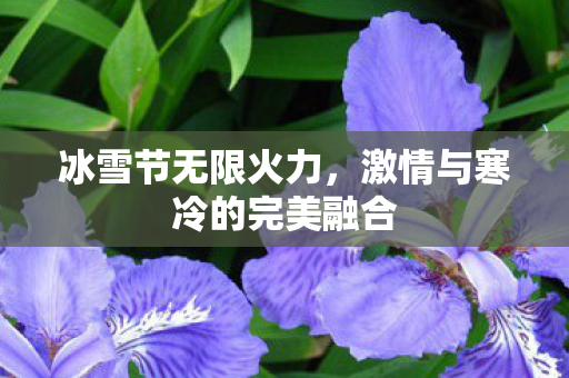 冰雪节无限火力，激情与寒冷的完美融合