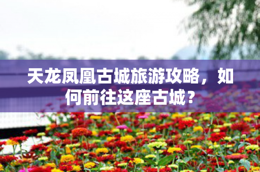 天龙凤凰古城旅游攻略，如何前往这座古城？
