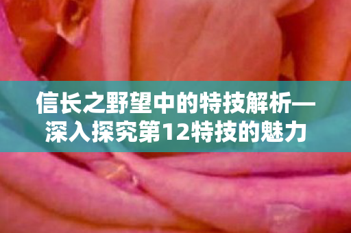 信长之野望中的特技解析—深入探究第12特技的魅力