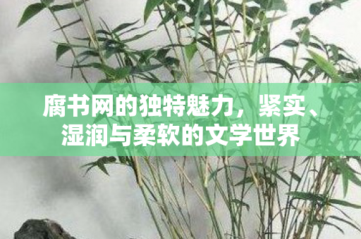 腐书网的独特魅力，紧实、湿润与柔软的文学世界