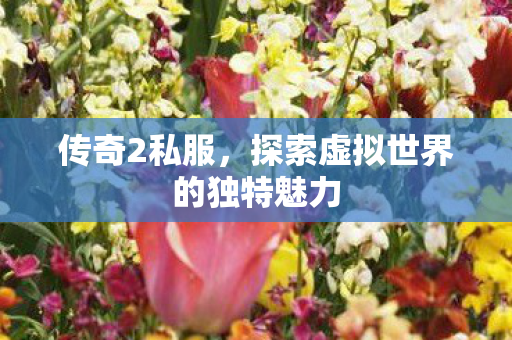 传奇2私服，探索虚拟世界的独特魅力