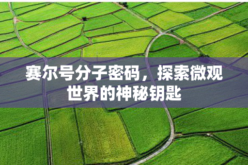 赛尔号分子密码，探索微观世界的神秘钥匙