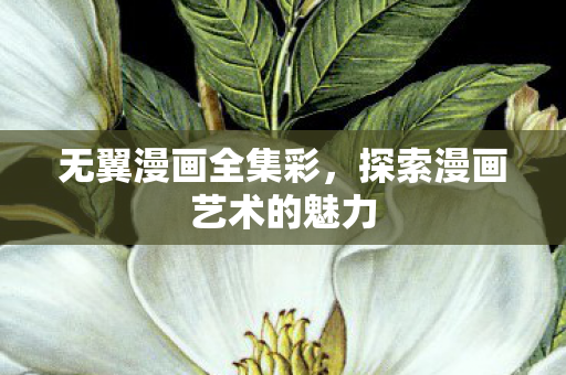 无翼漫画全集彩，探索漫画艺术的魅力