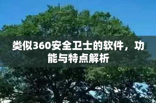 类似360安全卫士的软件，功能与特点解析