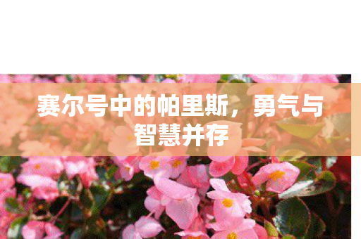 赛尔号中的帕里斯，勇气与智慧并存