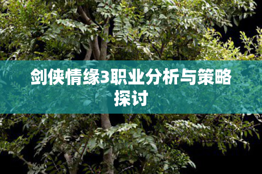 剑侠情缘3职业分析与策略探讨