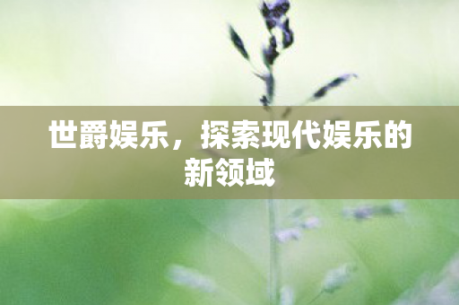 世爵娱乐，探索现代娱乐的新领域