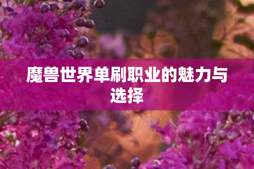 魔兽世界单刷职业的魅力与选择