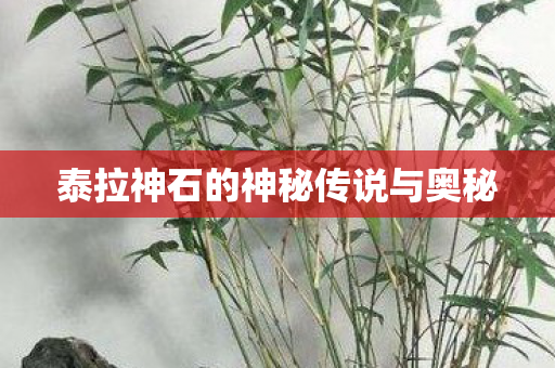 泰拉神石的神秘传说与奥秘