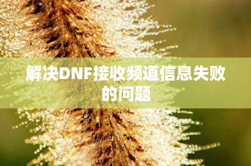 解决DNF接收频道信息失败的问题
