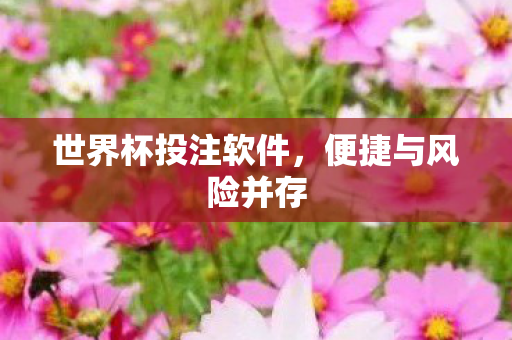 世界杯投注软件，便捷与风险并存