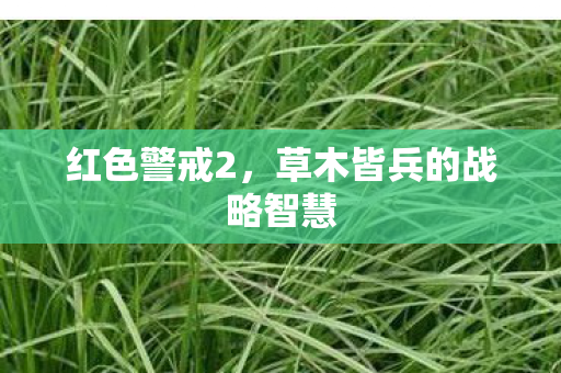 红色警戒2，草木皆兵的战略智慧