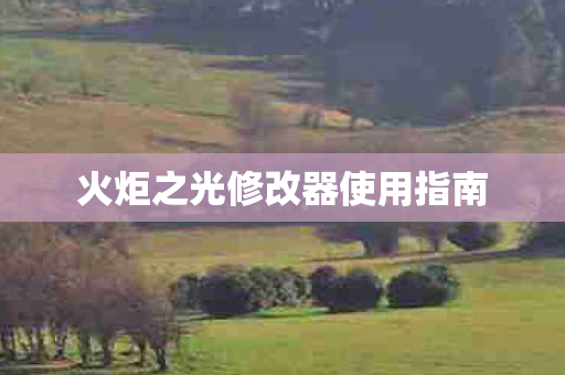 火炬之光修改器使用指南