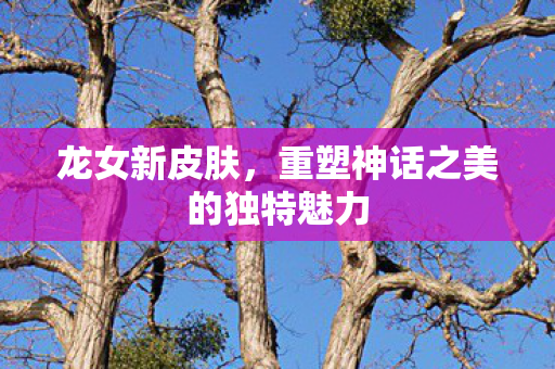 龙女新皮肤，重塑神话之美的独特魅力