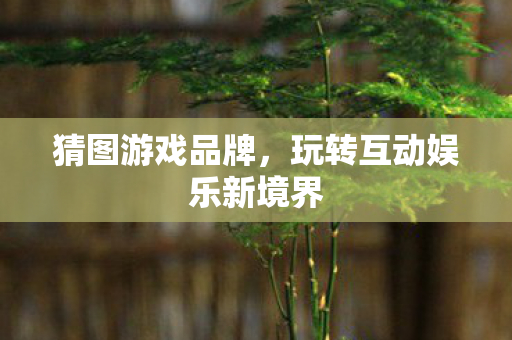 猜图游戏品牌，玩转互动娱乐新境界