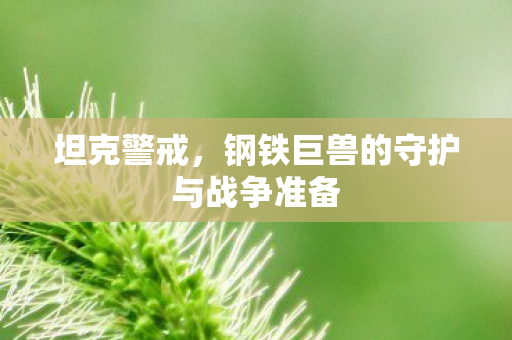 坦克警戒，钢铁巨兽的守护与战争准备