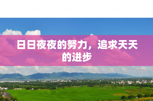 日日夜夜的努力，追求天天的进步