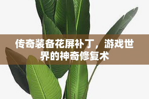 传奇装备花屏补丁，游戏世界的神奇修复术