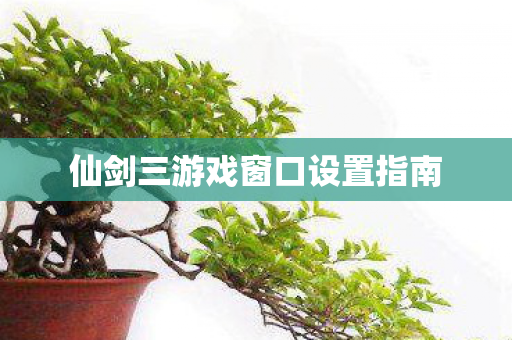 仙剑三游戏窗口设置指南