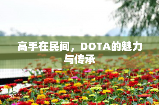 高手在民间，DOTA的魅力与传承