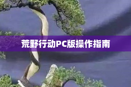 荒野行动PC版操作指南