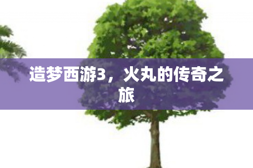 造梦西游3，火丸的传奇之旅