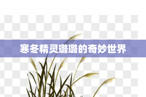 寒冬精灵璐璐的奇妙世界
