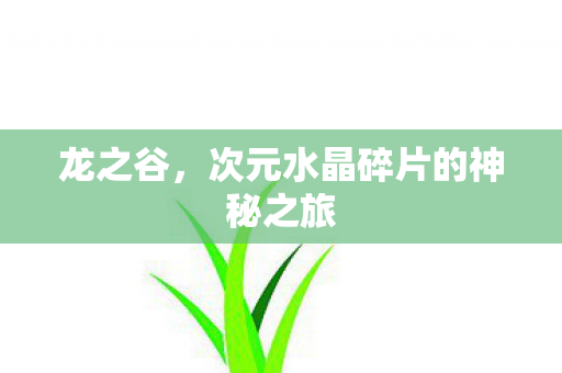 龙之谷，次元水晶碎片的神秘之旅