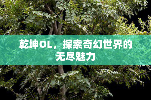 乾坤OL，探索奇幻世界的无尽魅力