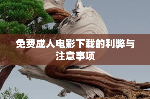 免费成人电影下载的利弊与注意事项