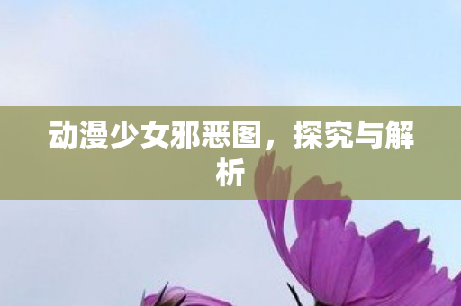 动漫少女邪恶图，探究与解析