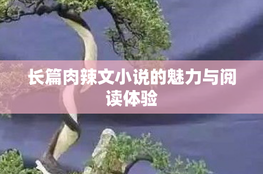 长篇肉辣文小说的魅力与阅读体验