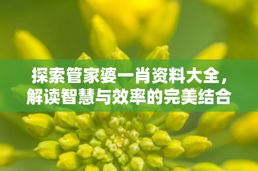 探索管家婆一肖资料大全,解读智慧与效率的完美结合 探索管家婆一肖资料大全,解读智慧与效率的完美结合