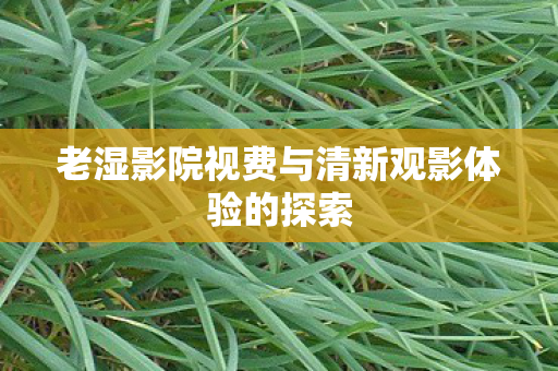 老湿影院视费与清新观影体验的探索