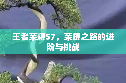 王者荣耀S7，荣耀之路的进阶与挑战