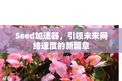 Seed加速器，引领未来网络速度的新篇章