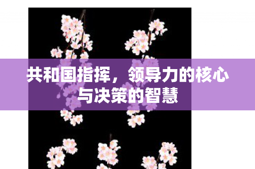 共和国指挥，领导力的核心与决策的智慧