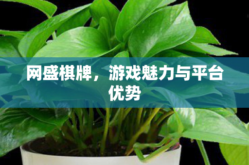 网盛棋牌，游戏魅力与平台优势