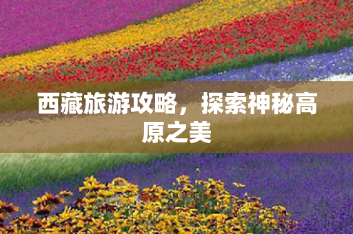 西藏旅游攻略，探索神秘高原之美
