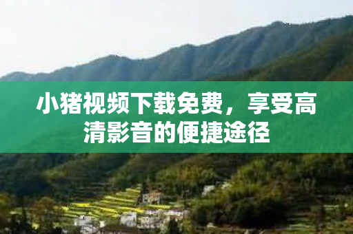 小猪视频下载免费，享受高清影音的便捷途径