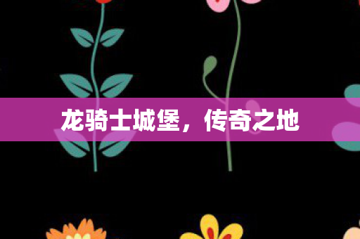 龙骑士城堡，传奇之地