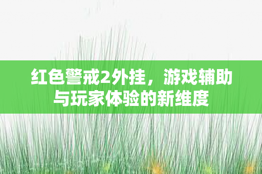 红色警戒2外挂，游戏辅助与玩家体验的新维度